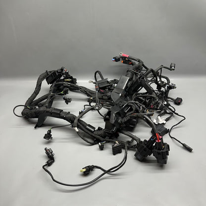 S1000R BMW S1000R MAIN ENGINE HARNESS 2020 2021 2022 2023 2024 2025 OEM