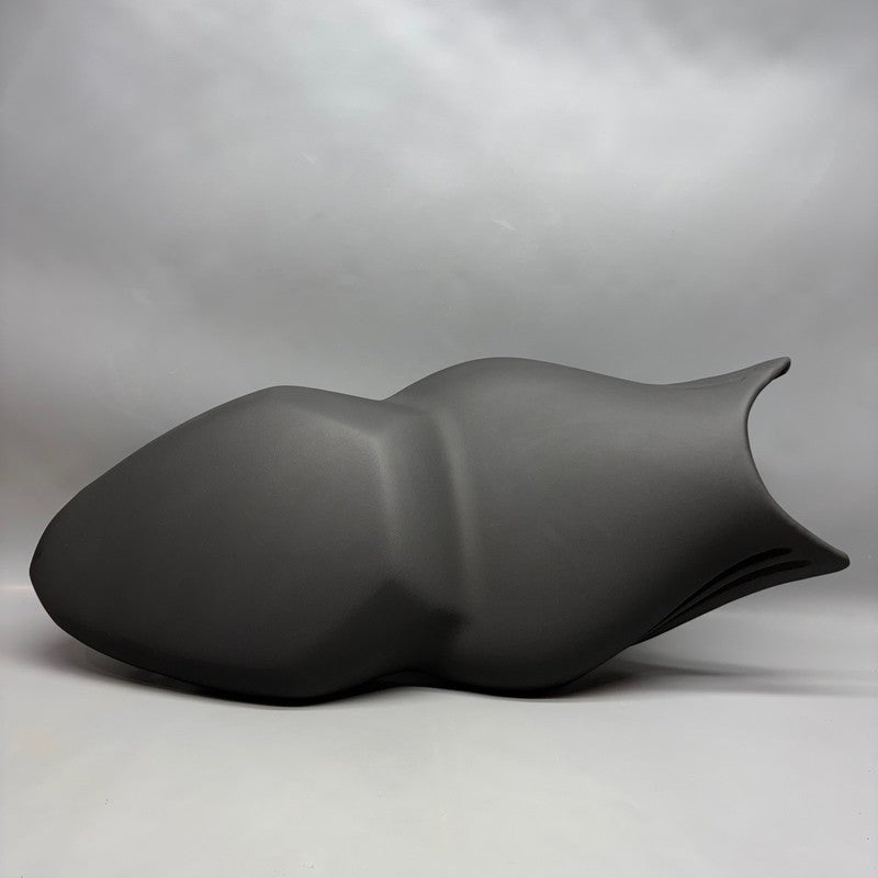 BMW K1300S FRONT WHEEL FENDER 2009 2010 2011 2012 2013 2014 2015 2016 