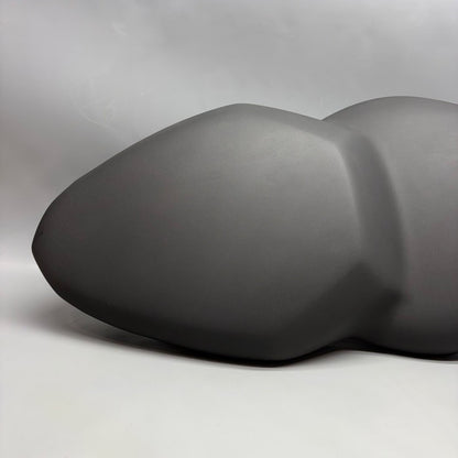 BMW K1300S FRONT WHEEL FENDER 2009 2010 2011 2012 2013 2014 2015 2016 