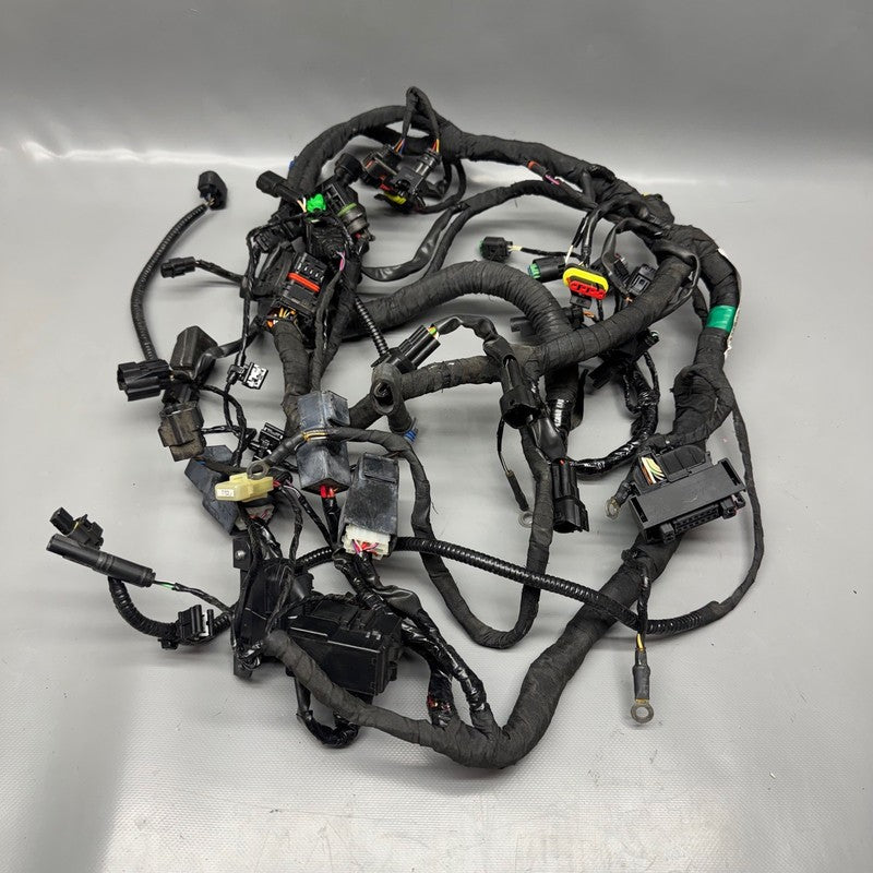 G310 R BMW G310 R MAIN ENGINE HARNESS 2016 2017 2018 2019 2020 OEM