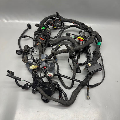 G310 R BMW G310 R MAIN ENGINE HARNESS 2016 2017 2018 2019 2020 OEM