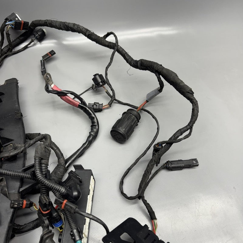 R1200GS BMW R1200GS MAIN ENGINE WIRE HARNESS 2009 2010 2011 2012 OEM
