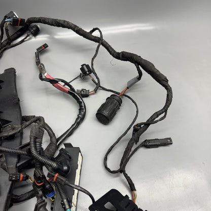 R1200GS BMW R1200GS MAIN ENGINE WIRE HARNESS 2009 2010 2011 2012 OEM