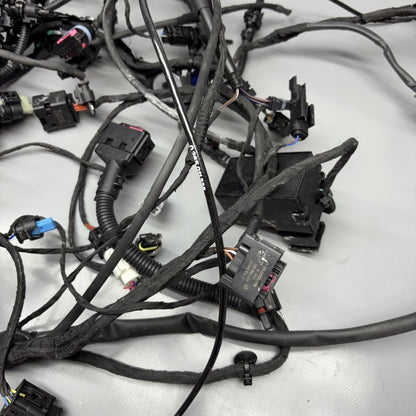 R1300GSA BMW R1300GS ADVENTURE MAIN WIRE HARNESS 2023 2024 2025 OEM 