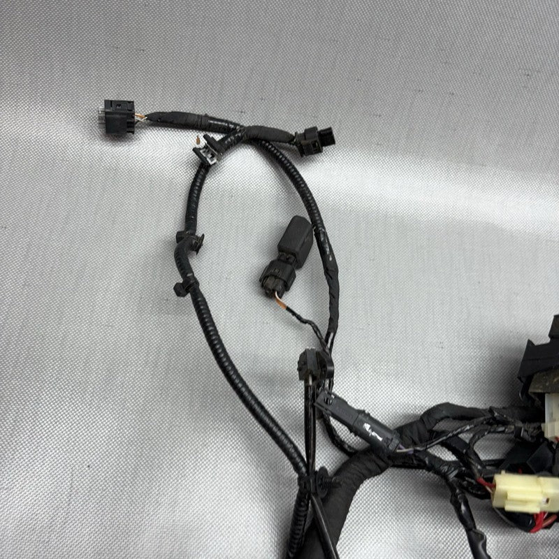 G 310R BMW G 310R MAIN ENGINE HARNESS 2016 2017 2018 2019 2020 OEM