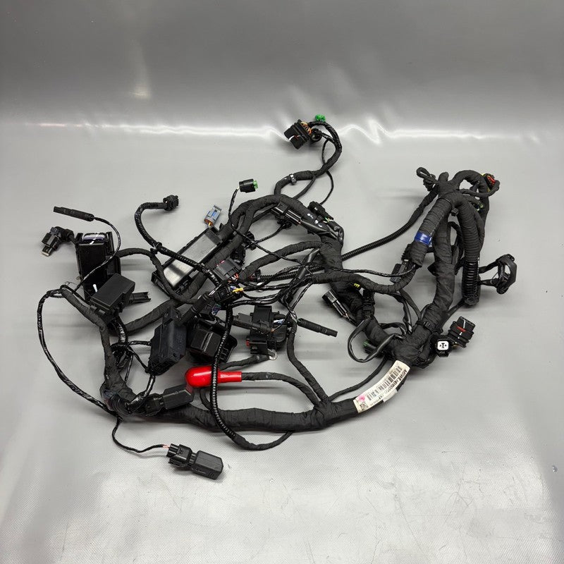 G310 R BMW G 310R MAIN ENGINE HARNESS 2019 2020 2021 2022 2023 2024 2025 OEM