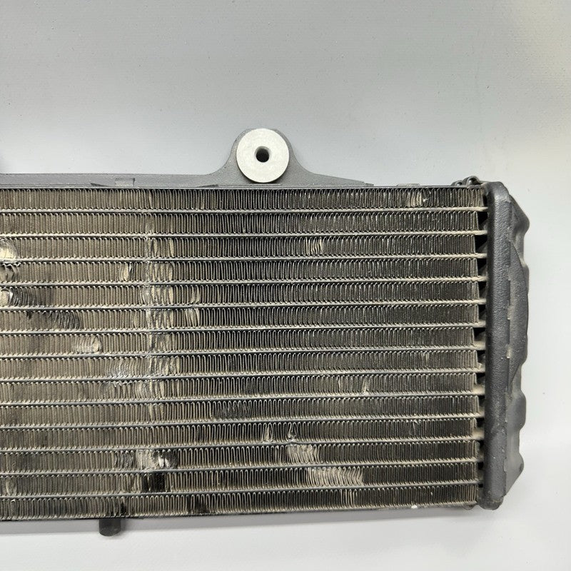 7661912 BMW G650GS SERTAO RADIATOR 2010 2011 2012 2013 2014 OEM 7661912