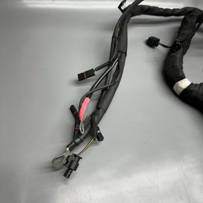 8354784 BMW K1600GTL MAIN ENGINE HARNESS 2015 2016 2017 2018 2019 2020 2021 OEM 8354784