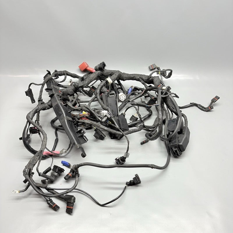 R1200GS BMW R1200GS MAIN WIRE HARNESS 2009 2010 2011 2012 2013 OEM  
