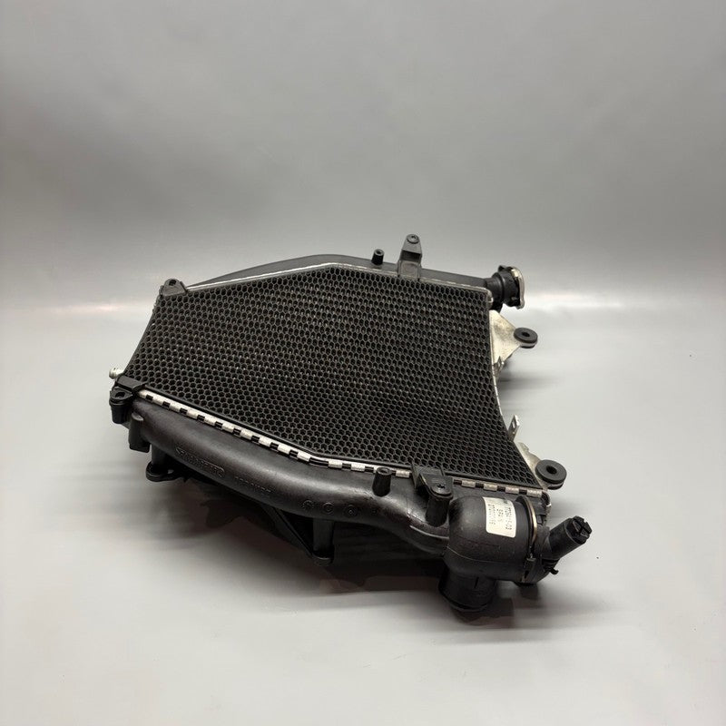 BMW K1600 BAGGER RADIATOR 2017 2018 2019 2020 2021 2022 2023 2024 2025