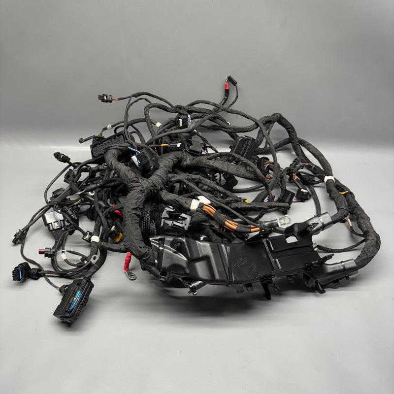 R18 TRANSCONTINENTAL BMW R18 TRANSCONTINENTAL MAIN ENGINE HARNESS 2020 2021 2022 2023 2024 2025 OEM