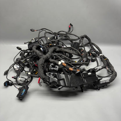 R18 TRANSCONTINENTAL BMW R18 TRANSCONTINENTAL MAIN ENGINE HARNESS 2020 2021 2022 2023 2024 2025 OEM