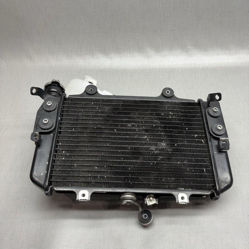 8555494 BMW G 310R RADIATOR WITH FAN 2016 2017 2018 2019 2020 OEM 8555494
