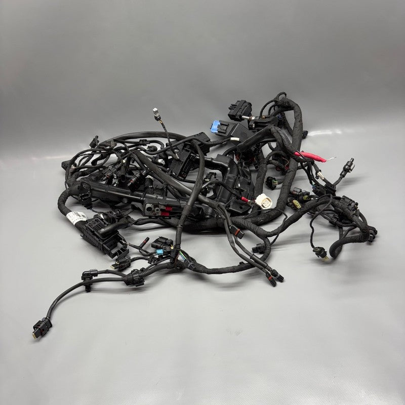 R12 NINE T BMW R12 NINE T MAIN ENGINE HARNESS 2022 2023 2024 2025 OEM