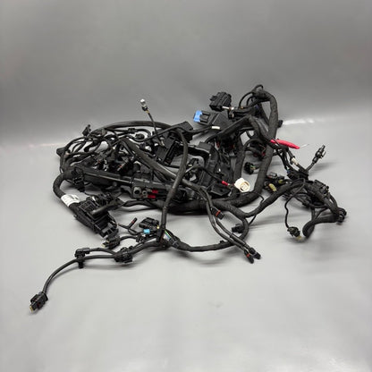 R12 NINE T BMW R12 NINE T MAIN ENGINE HARNESS 2022 2023 2024 2025 OEM