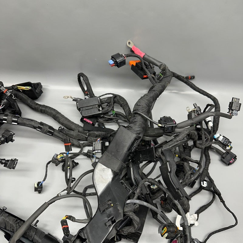 S1000R BMW S1000R MAIN ENGINE HARNESS 2020 2021 2022 2023 2024 2025 OEM