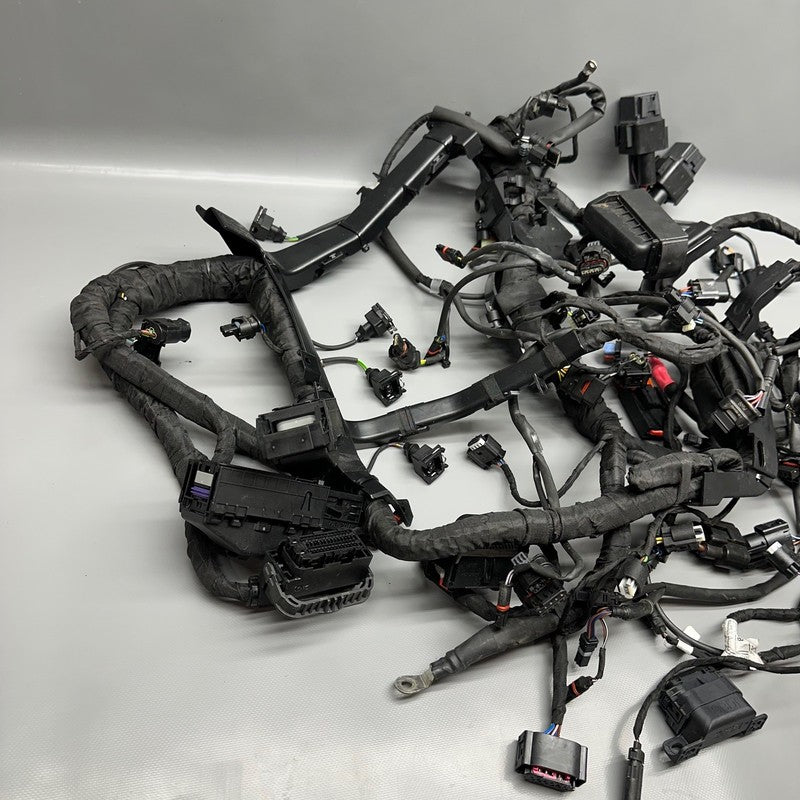 S1000R BMW S1000R MAIN ENGINE HARNESS 2020 2021 2022 2023 2024 2025 OEM