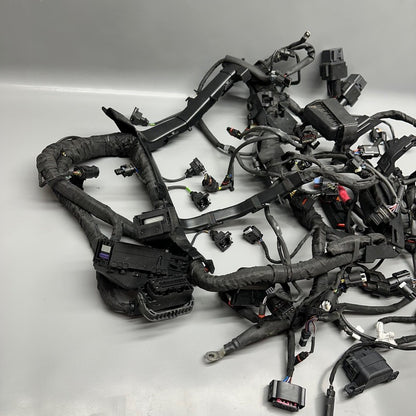 S1000R BMW S1000R MAIN ENGINE HARNESS 2020 2021 2022 2023 2024 2025 OEM
