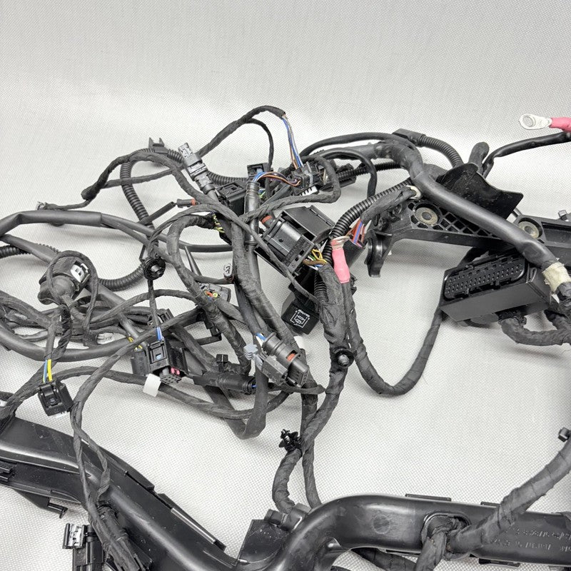 9480782 BMW R1250 GS MAIN WIRING HARNESS 2018 2019 2020 OEM 9480782