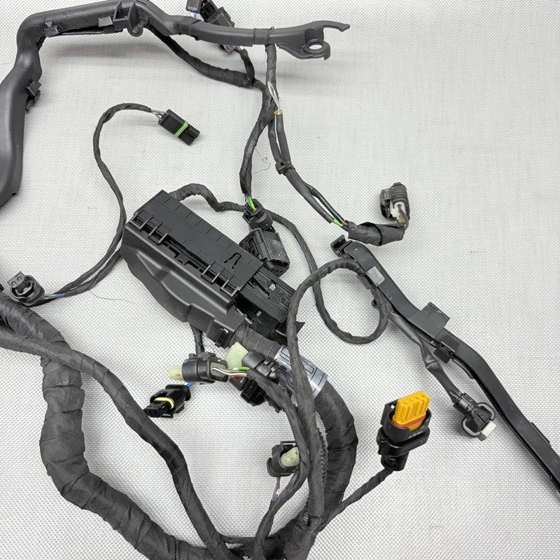 BMW R1250GS ENGINE WIRING HARNESS 2017 2018 2019 2020 2021 2022 2023 O