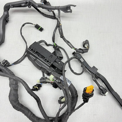 BMW R1250GS ENGINE WIRING HARNESS 2017 2018 2019 2020 2021 2022 2023 O