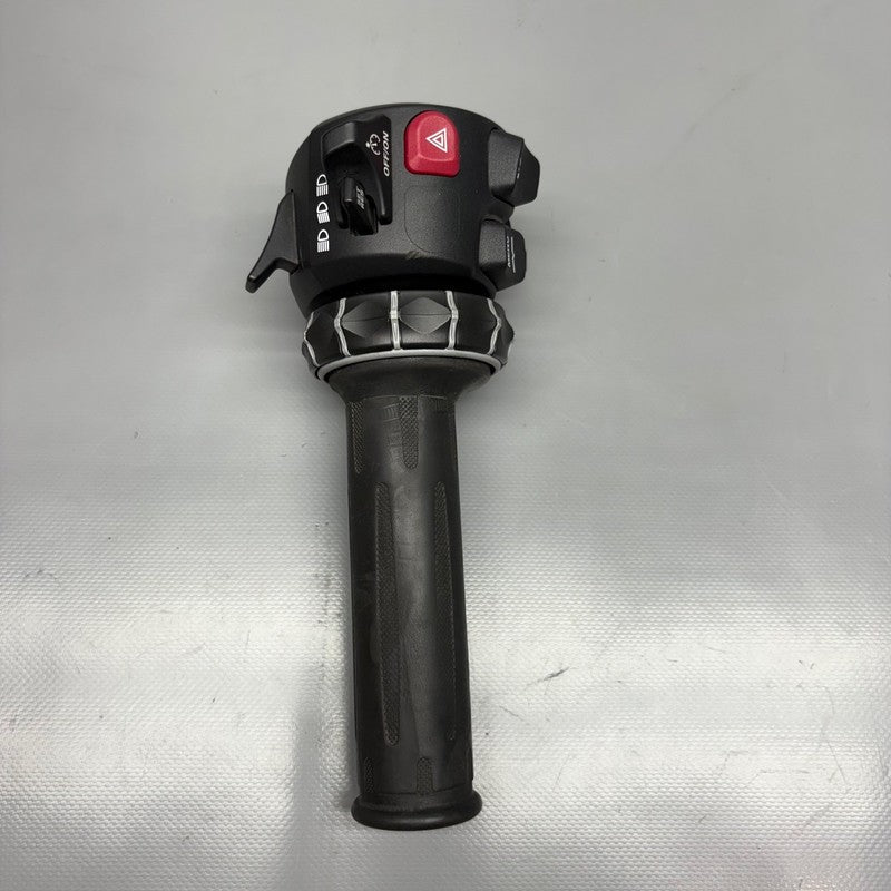 BMW F900R HANDLE GRIP WITH SWITCH 2020 2021 2022 2023 2024 OEM