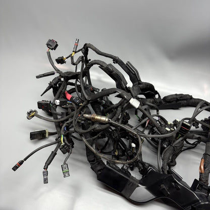 BMW M1000R MAIN WIRING HARNESS 2021 2022 2023 2024 OEM 7105048