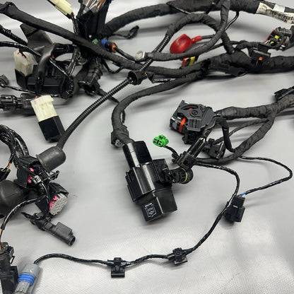 8394113 BMW G310GS MAIN ENGINE HARNESS 2018 2019 OEM 8394113