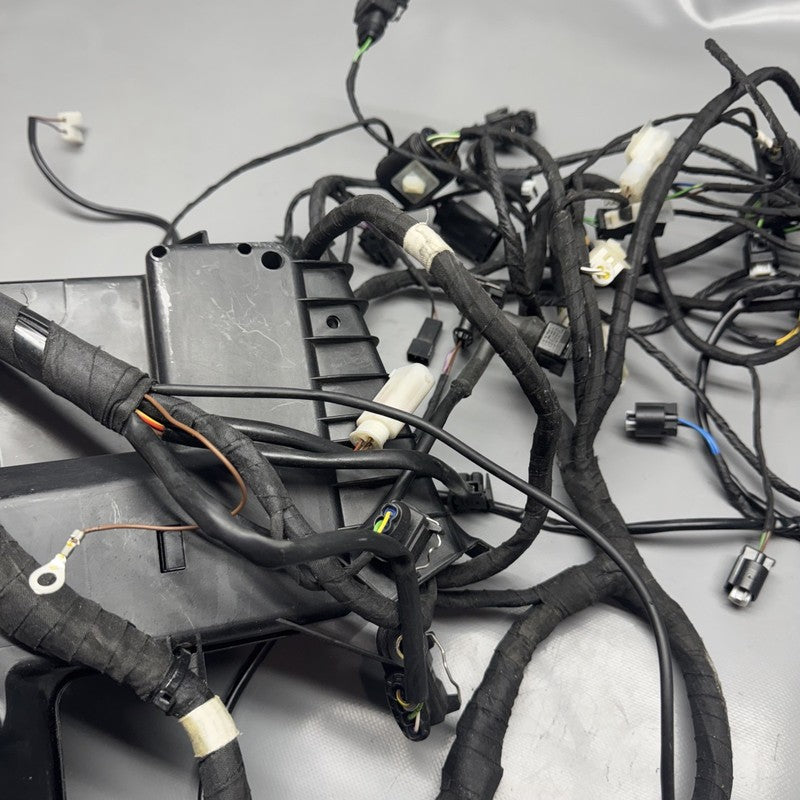 K 1200LT BMW K 1200LT MAIN HARNESS 2005 2006 2007 2008 OEM