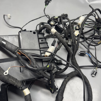 K 1200LT BMW K 1200LT MAIN HARNESS 2005 2006 2007 2008 OEM