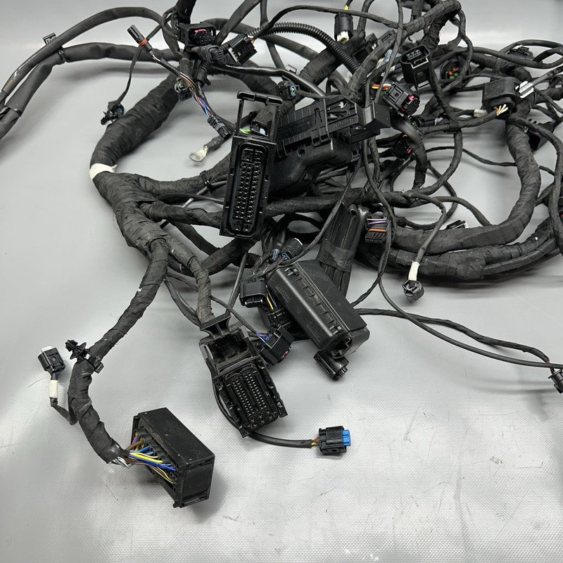 8354784 BMW K1600GTL MAIN ENGINE HARNESS 2015 2016 2017 2018 2019 2020 2021 OEM 8354784