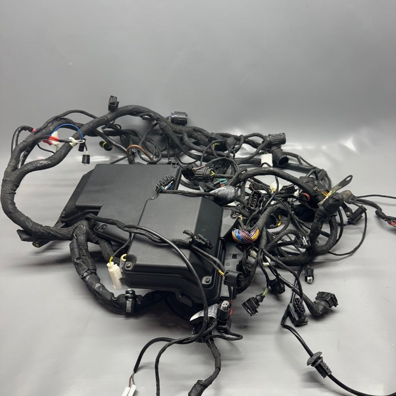 BMW K 1200LT MAIN HARNESS 2005 2006 2007 2008 OEM