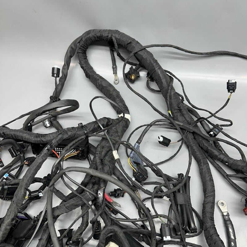 8354784 BMW K1600GTL MAIN ENGINE HARNESS 2015 2016 2017 2018 2019 2020 2021 OEM 8354784