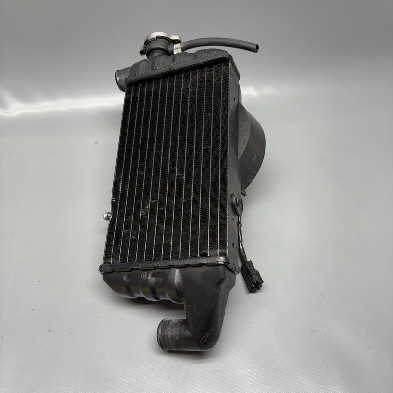 BMW K 1200LT RADIATOR LEFT 2005 2006 2007 2008 OEM 1464875