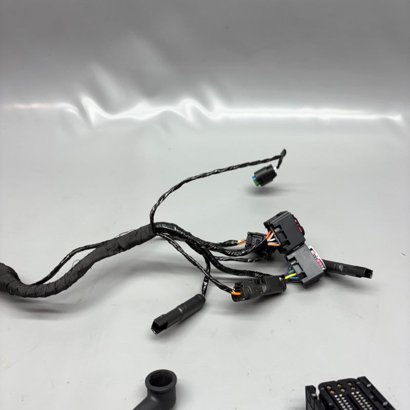 G310 R BMW G 310R MAIN ENGINE HARNESS 2019 2020 2021 2022 2023 2024 2025 OEM