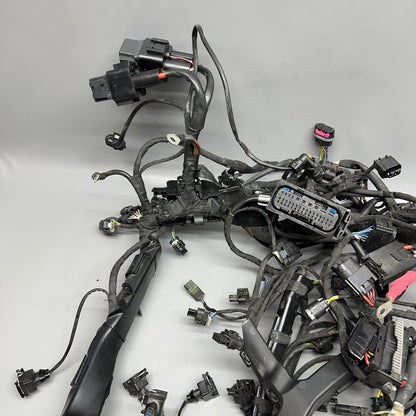 7105049 BMW S1000RR MAIN HARNESS WIRING LOOM 2018 2019 2020 2021 2022 OEM 7105049