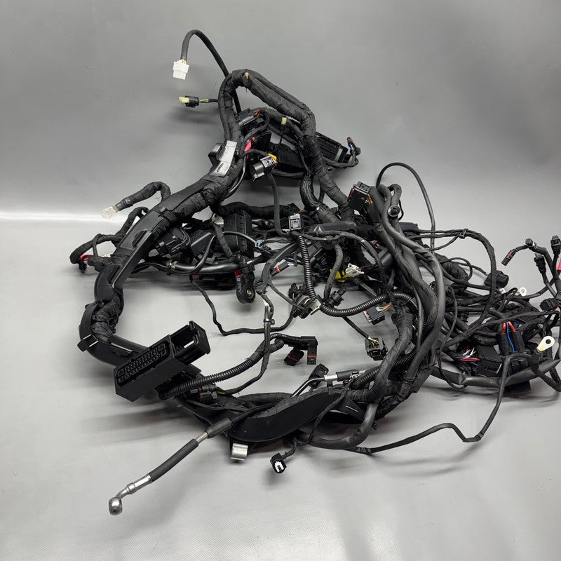 8555757 BMW R1250RT MAIN ENGINE HARNESS 2013-2017 2018 2019 2020 2021 2022 2023 2024 OEM