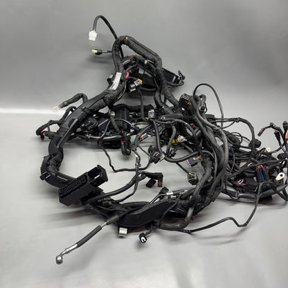 8555757 BMW R1250RT MAIN ENGINE HARNESS 2013-2017 2018 2019 2020 2021 2022 2023 2024 OEM