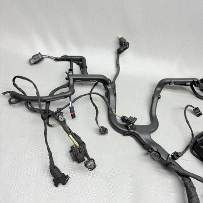 BMW R1250GS ENGINE WIRING HARNESS 2017 2018 2019 2020 2021 2022 2023 O