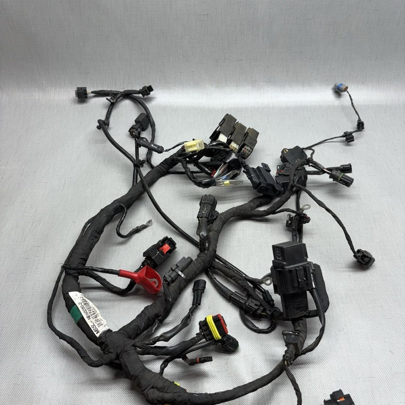 G 310R BMW G 310R MAIN ENGINE HARNESS 2016 2017 2018 2019 2020 OEM