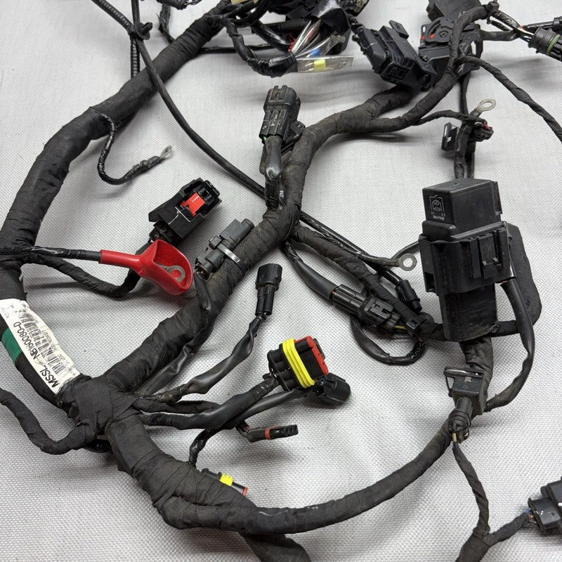 G 310R BMW G 310R MAIN ENGINE HARNESS 2016 2017 2018 2019 2020 OEM