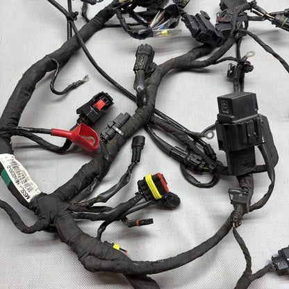 G 310R BMW G 310R MAIN ENGINE HARNESS 2016 2017 2018 2019 2020 OEM