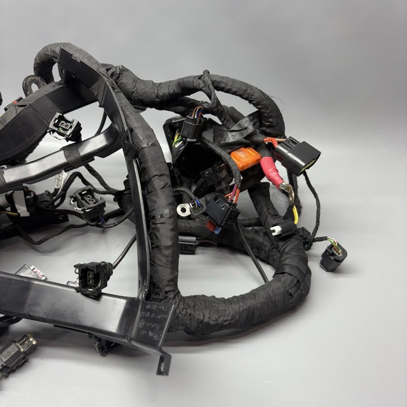 S1000R BMW S1000R MAIN ENGINE HARNESS 2020 2021 2022 2023 2024 2025 OEM 