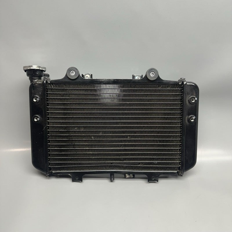G310GS BMW G310GS RADIATOR 2018 2019 OEM