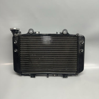 G310GS BMW G310GS RADIATOR 2018 2019 OEM