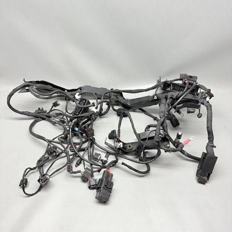 BMW R1250GS MAIN WIRING HARNESS 2018 2019 2020 2021 2022 2023 OEM 9480