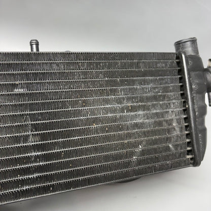 BMW K1200LT RADIATOR LEFT 2005 2006 2007 2008 OEM 1465271