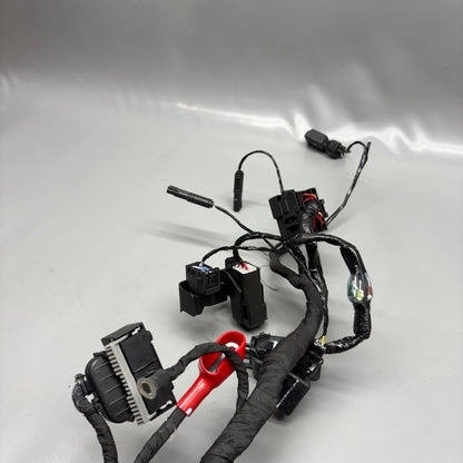 G310 R BMW G 310R MAIN ENGINE HARNESS 2019 2020 2021 2022 2023 2024 2025 OEM