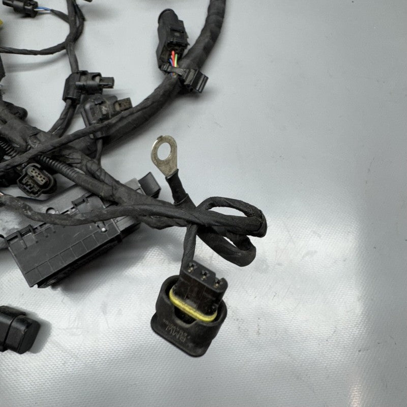 1692821 BMW F900R MAIN ENGINE HARNESS 2020 2021 2022 2023 2024 OEM 1692821