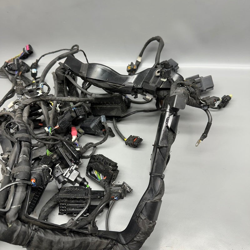 7105049 BMW S1000RR MAIN HARNESS WIRING LOOM 2018 2019 2020 2021 2022 OEM 7105049